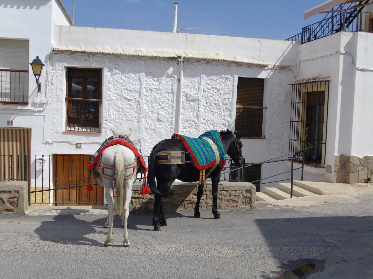 la casa de la tia frasquita