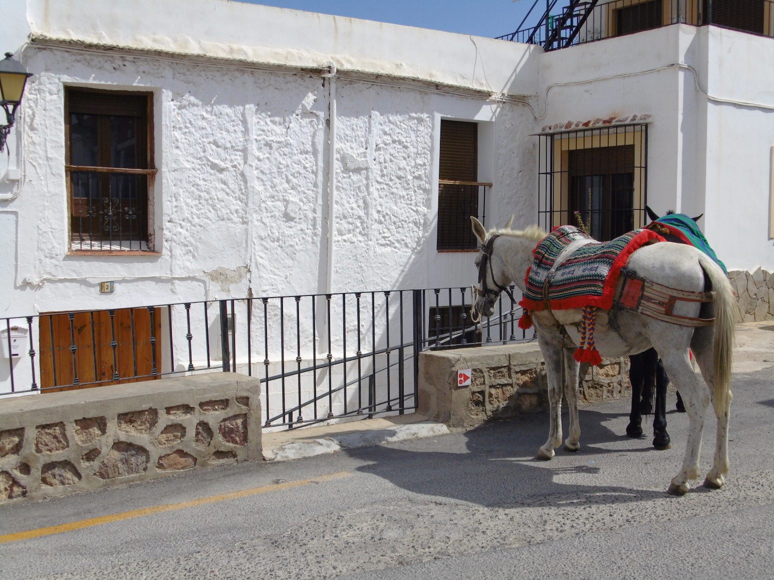 la casa de la tia frasquita